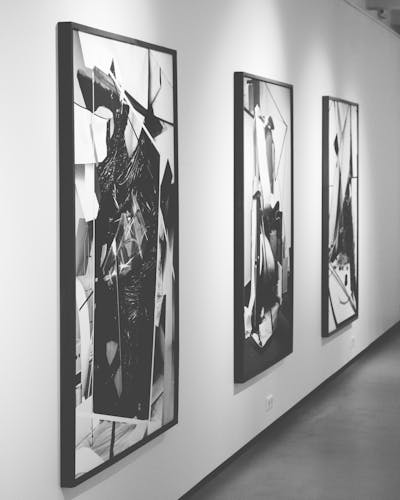 pexels-dom-j-7304-297494