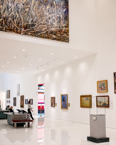 pexels-laura-paredis-1047081-26424630